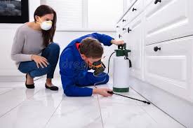 Best Emergency Pest Control  in Colorado City, AZ